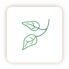 Füllprodukte und Verbrauchsprodukte - Topping / Kaffeeweisser